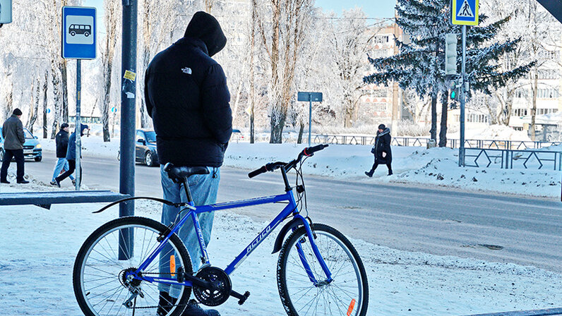 площадь села долгоруково липецкой области. село долгоруково липецкая область. долгоруково липецкая область. долгоруково мокшанский район. количество районов в липецкой области.