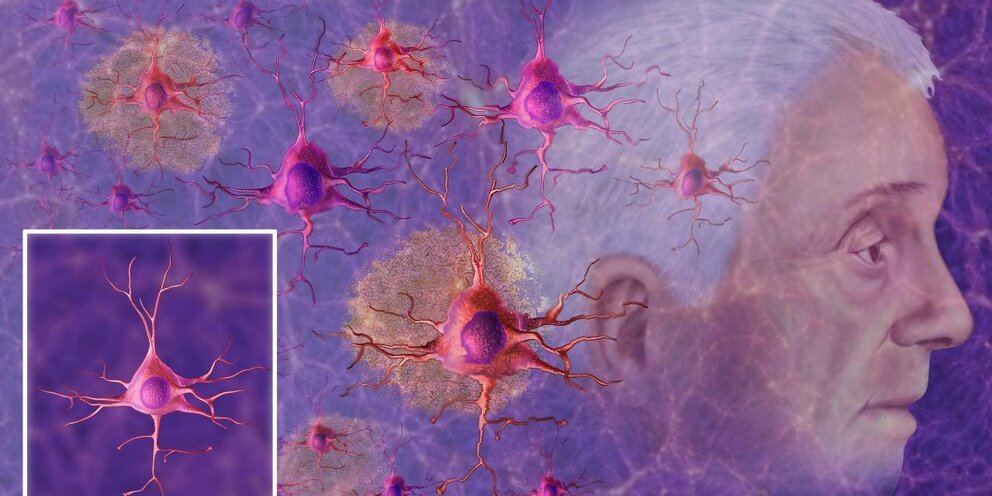 Умная белка. Белки ученые. Животные учителя. Белка с очками. Елка ученого.