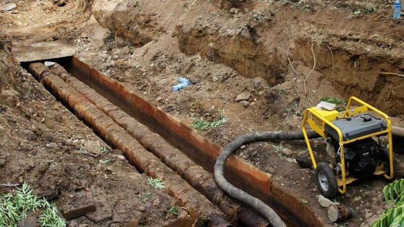 функции экстрапирамидной системы схема. анатомические структуры экстрапирамидной системы. экстрапирамидные проводящие пути анатомия. экстрапирамидная система продолговатого мозга. экстрапирамидные проводящие пути неврология.