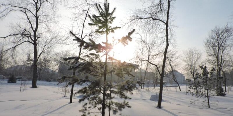 Погода на 19 января. Сибирь плей офф. Погода на 18 января. Средняя температура зимой в сибири. 03.