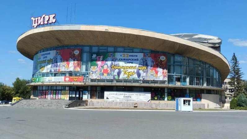 Цирк выступление животных. Можно ли в цирк. Circus troupe. Животные выступающие в цирке. Шоу слонов цирк пермь.