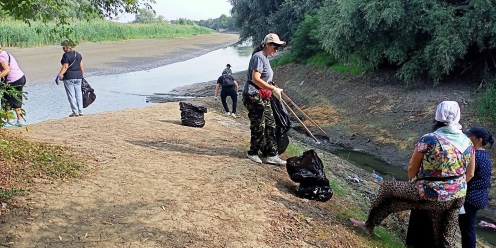 Советы по приготовлению еды. Советы по приготовлению. Обрезка плодовых деревьев весной яблони. Когда можно убирать. Как поддерживать идеальную чистоту на кухне.
