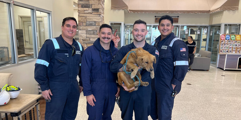 шутки про пса. спрашивает лисица услышав собачий лай. добрые мемы про собак. спрашивает лисица услышав собачий лай. спрашивает лисица услышав собачий лай.