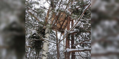 фразы которые ставят человека на место. фразы чтобы поставить человека на место. поставить их на место. проложы телефон на место. ставим лайки.