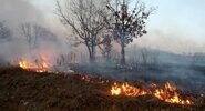 В&nbsp;Ленинградской области загорелся объект Минобороны, эвакуировано 600 человек|