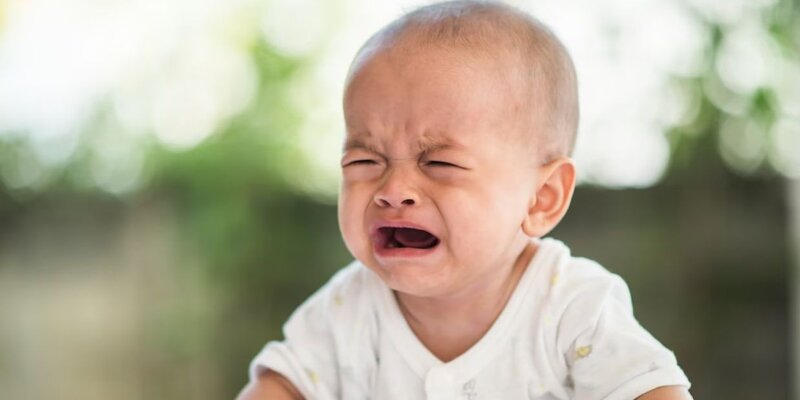 Люцифер константинович. Можно назвать ребенка люцифер. Меньшиков люцифер. Паспорт люцифер. Свадьба панков сатанистов.