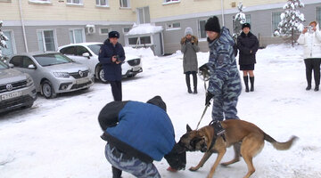 задержание служебной собакой. служебные собаки. задержание служебной собакой. милиция с собакой. полицейский с собакой.
