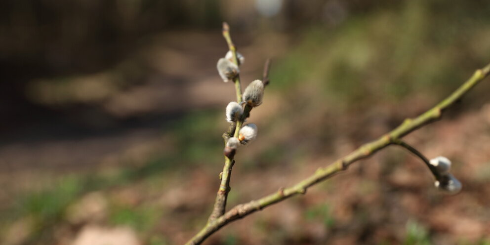Отметки учителя в тетради. Зачетка мед колледжа. Оценка за поведение. Школьный дневник с оценками смешной. Плохие оценки в дневнике.