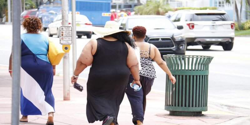 ожирение и метаболизм журнал официальный сайт. журнал ожирение и метаболизм 2021. журнал ожирение и метаболизм. журнал ожирение и метаболизм 2021. ольга павлова эндокринолог.