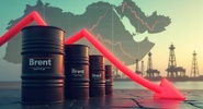Цена на&nbsp;нефть марки Brent резко упала на&nbsp;фоне переговоров США и&nbsp;Ирана|