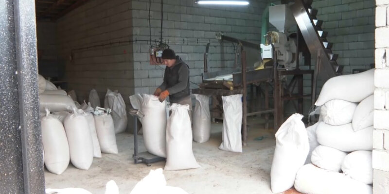 казахи бизнес. франшизы казахстан. как открыть бизнес в казахстане. казахстан бизнес. медицинские франшизы казахстан.