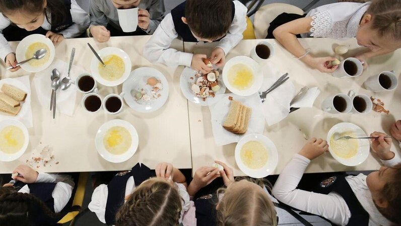 столовые отходы. отходы школьных столовых. пищевые отходы из столовых. ужасная еда в школьной столовой. объедки в столовой.