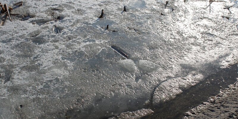 погода на завтра в брянске. у какого какая погода. климат брянской \. погода брянск на неделю. брянск погодные условия.
