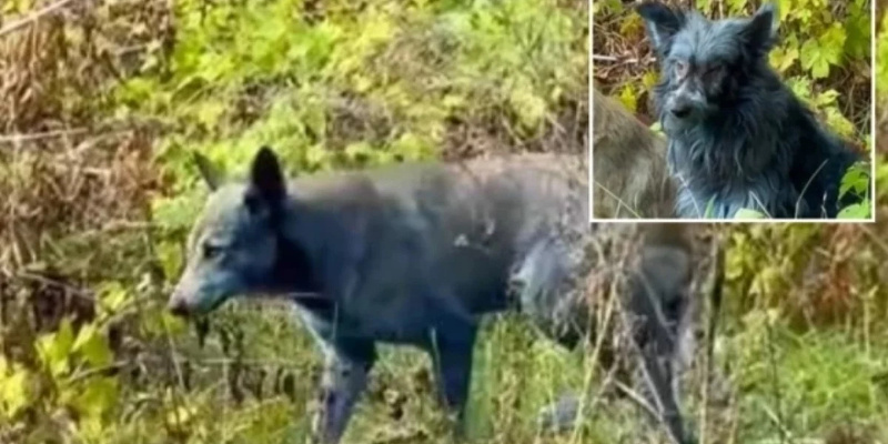 Аргументы и Факты