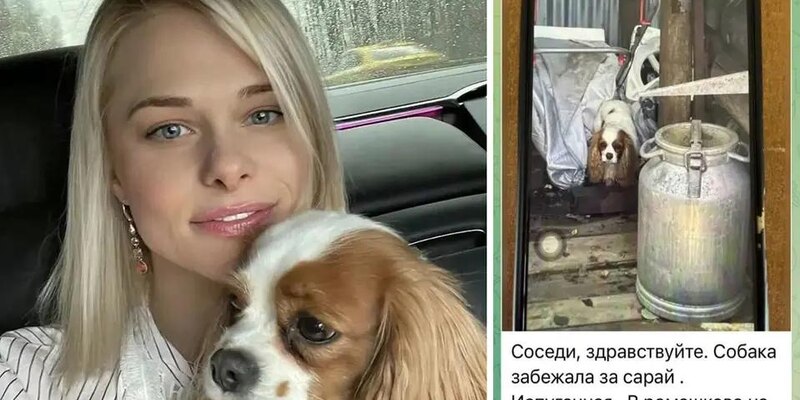 https://avatars.dzeninfra.ru/get-ynews/271828/253c0f40157e1ec895158bce3b2a74b8/800x400