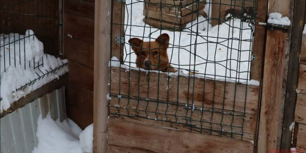 Хилока года. Хилока года. Хилок забайкальский край. Станция хилок забайкальской железной дороги. Хилока года.