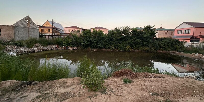 Пресечь без