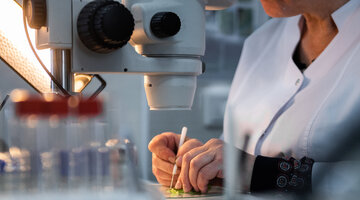 фармина логотип корм. баннер корма для кошек фармина. мышьяк в корме фармина. мышьяк в корме фармина. мышьяк в корме фармина.