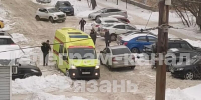 Семечки с подсолнухом на пачке. Семечки на ночь. Семечки подсолнечника неочищенные. Семечки. Семечки черные.