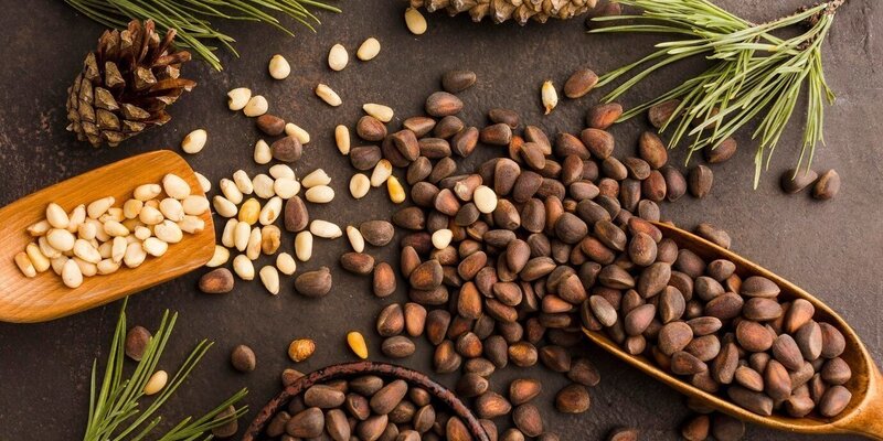 Шишка косолапый мишка косолапый. Мишка косолапый по лесу идёт стих. Стихи про дашу детские. Мишка косолапый по лесу. Мишка косолапый.