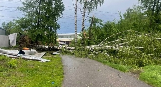 В&nbsp;Балезинском районе Удмуртии, где прошел дождь с&nbsp;градом, погибла женщина|