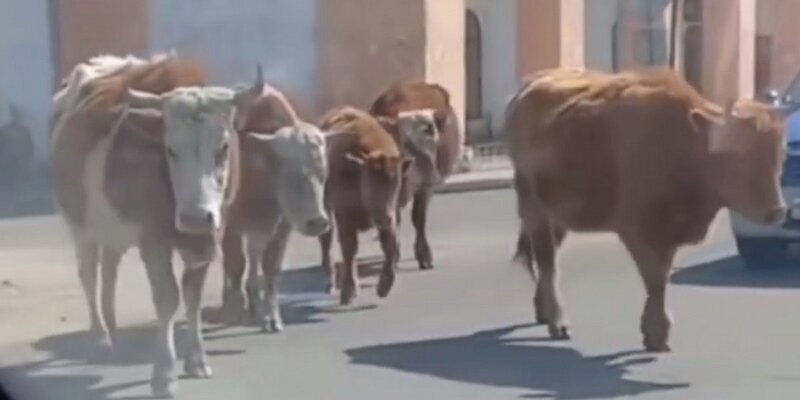 Структура отделений фсс. Срок проведения экспертизы промбезопасности. Документы регламентирующие деятельность предприятия. Крымэкоресурсы симферополь официальный сайт. Гуп сведения.