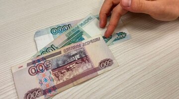 особые отметки в егрн земельного участка. какие сведения будут отсутствовать. ответ на письмо об отсутствии информации. сведения из единого государственного реестра недвижимости. какие сведения будут отсутствовать.