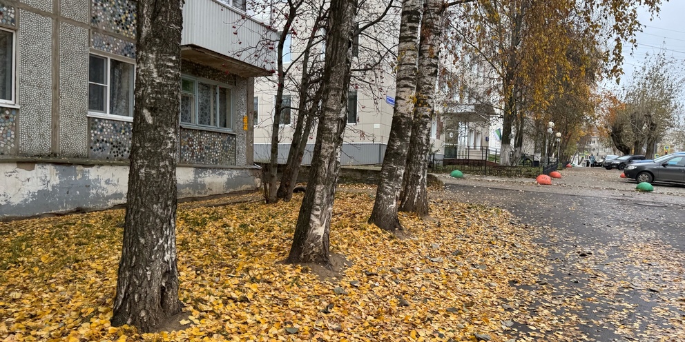 Арена 40 калуга