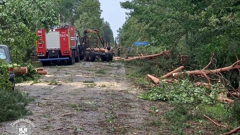 Последствия урагана в беларуси