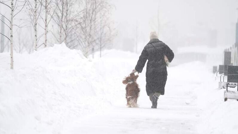 теплое место отпечатков жду