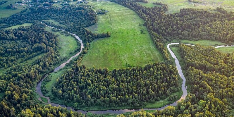 Методы мониторинга лесных пожаров. Мониторинг пожарной опасности в лесах и лесных пожаров. Система дистанционного мониторинга. Дистанционный мониторинг лесных пожаров презентация. Исдм рослесхоз.