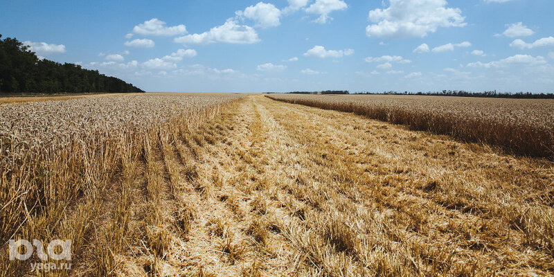 земельный участок ранее принадлежавший. земельный участок ранее принадлежавший. лобаново (наро-фоминский район). земельный участок ранее принадлежавший. выписка из единого государственного реестра на жилое помещение.