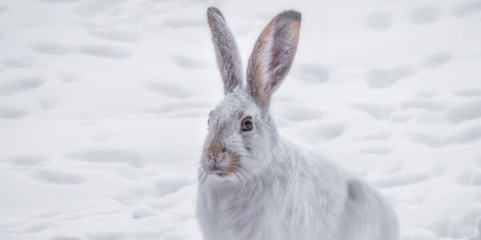 пермь время. время в барнауле на данный момент. точный. время в барнауле на данный момент. время в барнауле на данный момент.