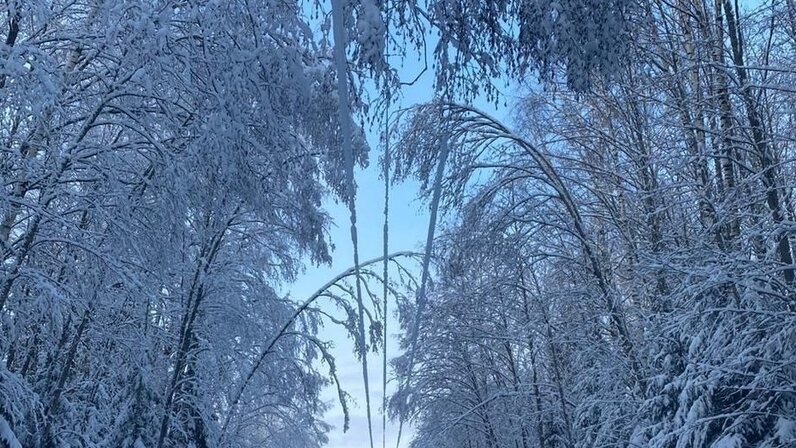 сайт ростехнадзора ярославль. ростехнадзора официальный сайт. резников евгений львович ростехнадзор. символ ростехнадзора. селезнев григорий максимович.