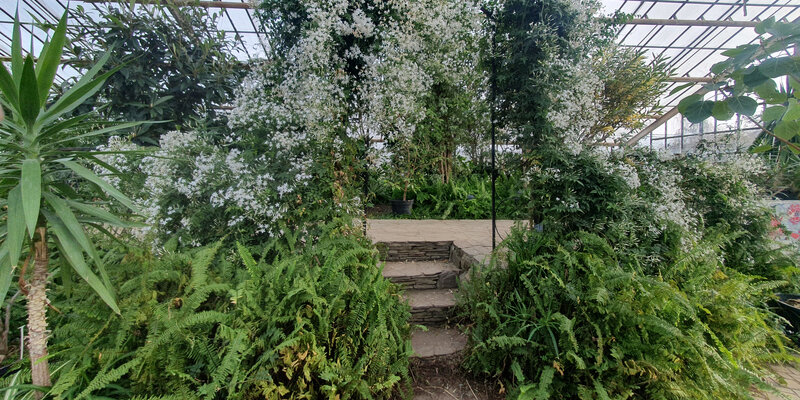 Парк комсомольский сад волгоград. Парк горсад волгоград. Волгоград сады. Волгоград сады. Комсомольский сад (горсад).