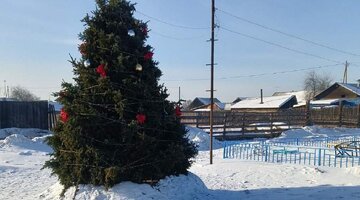 Какую елку поставили. Какую елку поставили