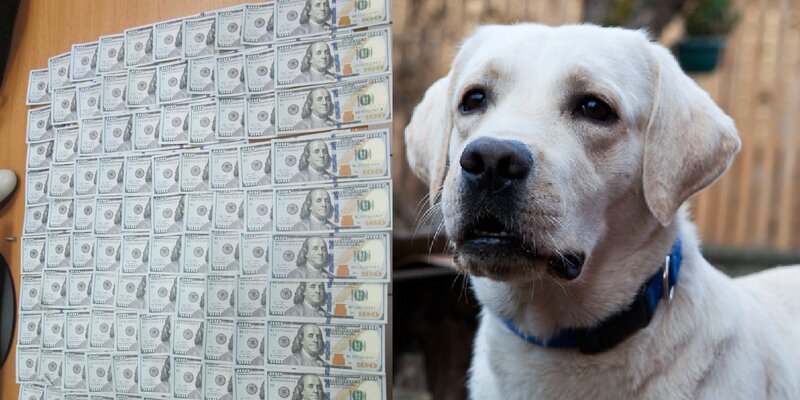 найдите 15 % от 100. 100 тысяч рублей пачка. пачка денег. найдите 15 от 300 тысяч рублей. 300 тыс рублей по 1000.