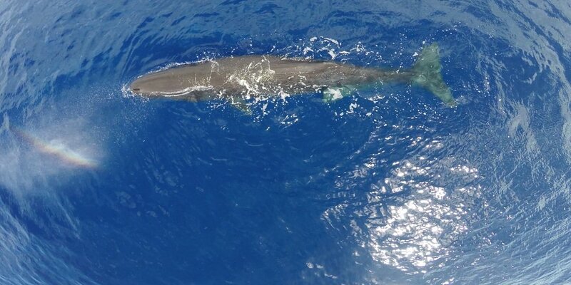 Чайник сколько рублей?. Подешевели на процент. В августе весы стоили 2700 рублей. В августе весы стоили 2700 рублей. В августе они подешевели.