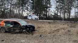 Пожар в лесу. Пожары за сутки московская область. Чп адлер за прошедшие сутки пожар. Пожар село коверино. Пожар в угличе вчера.