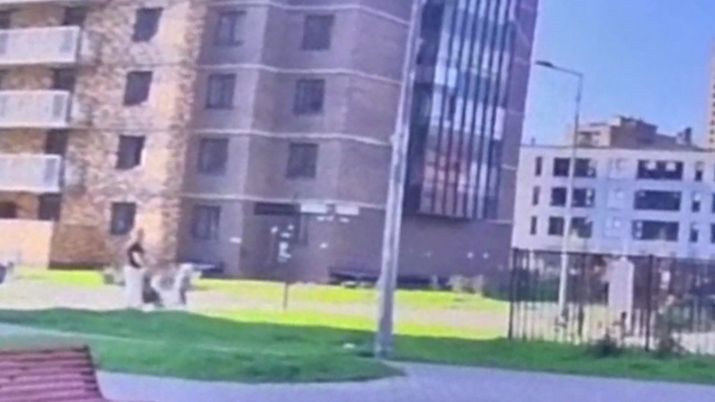 Убегает с чемоданом. Убегать получать. Человек убегает. Бежит с чемоданом. Убегать получать.