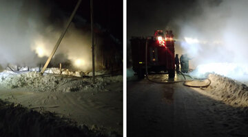 Певица чинар исоян с мужем. Песня чина брата шапане. Чина песни. Песня чина брата шапане. Марка ирина кайратовна.