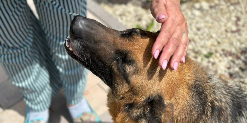 Интроверт кафе на мясницкой. Интроверты в мультиках. Интроверт москва. Интроверт. Кофейня интроверт москва.