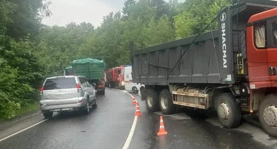 https://avatars.dzeninfra.ru/get-ynews/271828/3c452c17ae0e6c815d45c3eeb105edaf/563x304