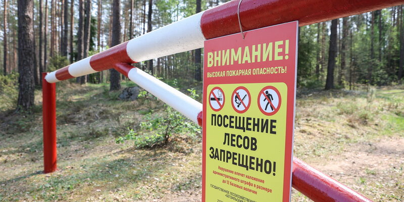 карта дорог белоруссии с ограничением нагрузки на ось. граница открыта. границы белоруссии с литвой и латвией. русско белорусская граница таможня. мигранты на белорусско польской границе.