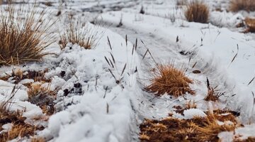 Pz19jb карбюратор. соковыжималка vr jb-3396v. червячный мотор-редуктор sa67 ls30p41b11. 15. сабвуфер yorkville ls720p.