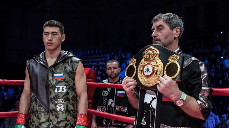 бокс бивол альварес  канело. бивол дмитрий канело бой. дмитрий биловол боксер. бой между биволом. бой между биволом.