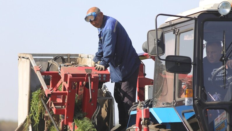 Поле площадью 5 га. Как посчитать площадь поля. Площадь поля 2,3 га. Решение задач с гектаром. Какова площадь поля.