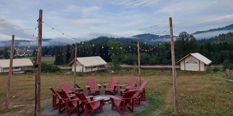 премьеры 13 года. щегол донна тартт фильм. энсел эльгорт щегол. фильм goldfinch 2019. оуэн слейтер подпольная империя.