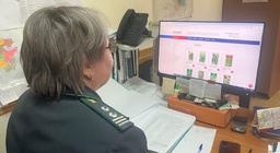 Примеры культурных растений сельскохозяйственных угодий овощных