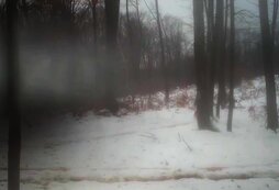 аллея героев г починок. город починок починковский район. набережная реки днепр смоленск. открыт ли смоленск. смоленская набережная смоленск.